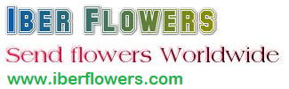 Iber flowers shop, Norway