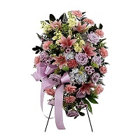 Spray Arrangement