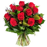 Valentines Roses