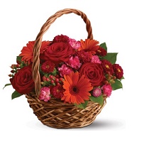 warm wishes